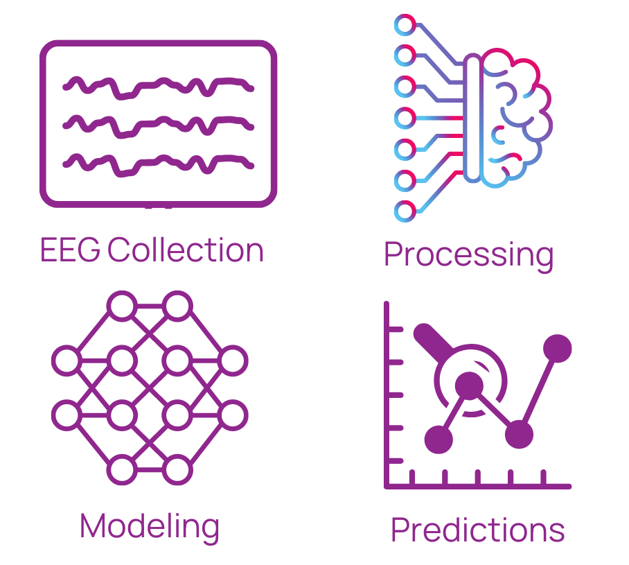 EEG Collection, Processing, Modeling and Predictions
